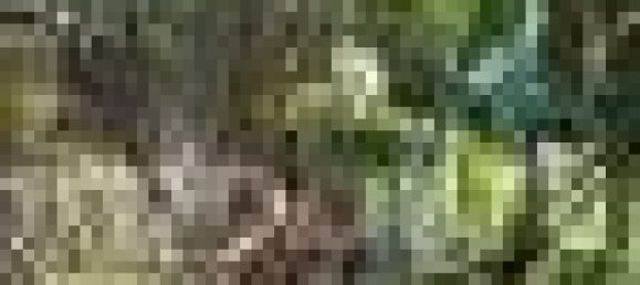 5 chambres Maison à Borgomanero, Italy No. 87138 6