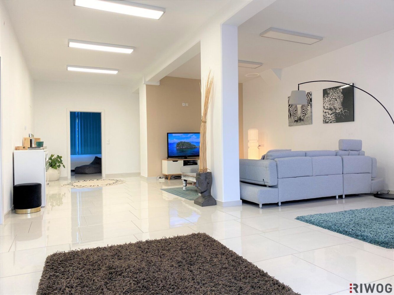 4 rooms Commercial property in Wiener Neustadt, Austria No. 61465