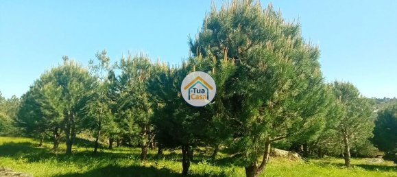 Grundstück in Mangualde, Portugal 17110m², Nr. 63924 35