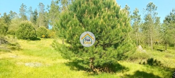 Grundstück in Mangualde, Portugal 17110m², Nr. 63924 29