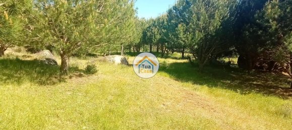 Grundstück in Mangualde, Portugal 17110m², Nr. 63924 32