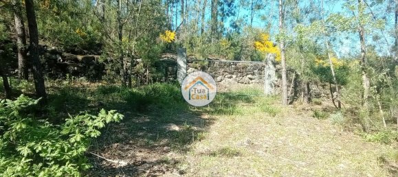 Grundstück in Mangualde, Portugal 17110m², Nr. 63924 17