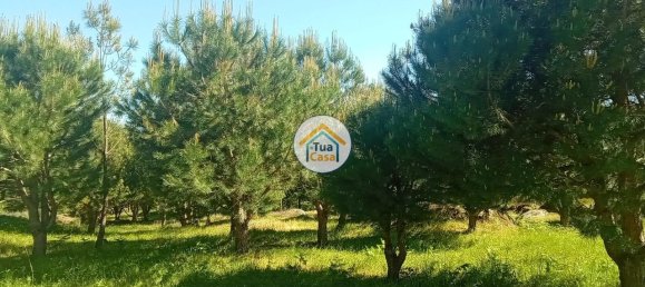 Grundstück in Mangualde, Portugal 17110m², Nr. 63924 36