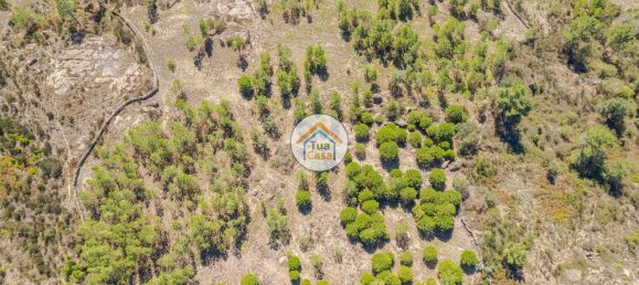 Grundstück in Mangualde, Portugal 17110m², Nr. 63924 3