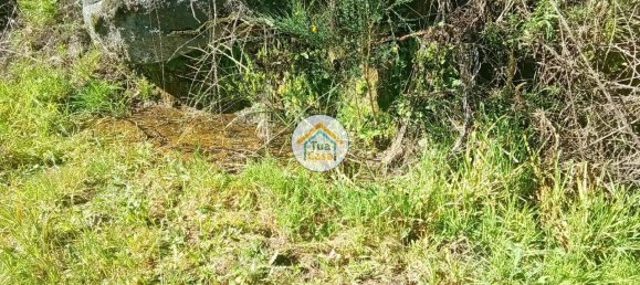 Grundstück in Mangualde, Portugal 17110m², Nr. 63924 23