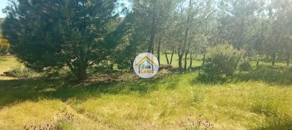 Grundstück in Mangualde, Portugal 17110m², Nr. 63924 26