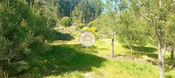 Grundstück in Mangualde, Portugal 17110m², Nr. 63924 31