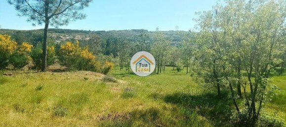 Grundstück in Mangualde, Portugal 17110m², Nr. 63924 25