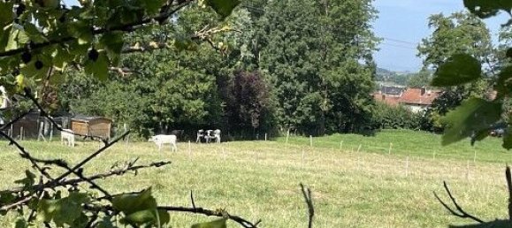 6 bedrooms Townhouse in Durmenach, France No. 94372 29