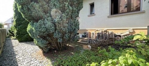 6 bedrooms Townhouse in Durmenach, France No. 94372 27