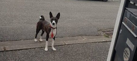 6 bedrooms Townhouse in Durmenach, France No. 94372 32