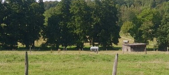 6 bedrooms Townhouse in Durmenach, France No. 94372 28