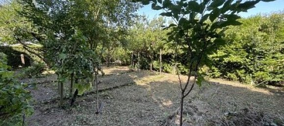 6 bedrooms Townhouse in Durmenach, France No. 94372 47