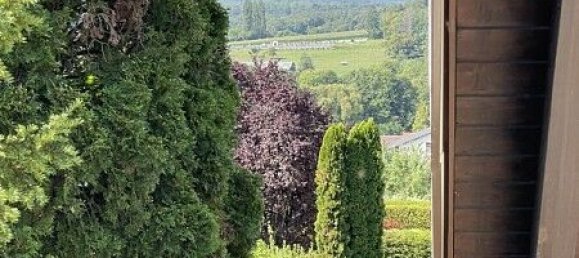 6 bedrooms Townhouse in Durmenach, France No. 94372 13