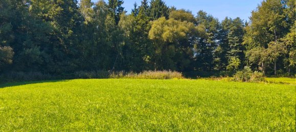 Terreno en Regen, Germany No. 227454 8