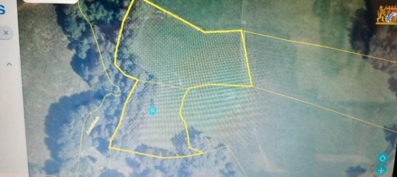 Terreno en Regen, Germany No. 227454 4