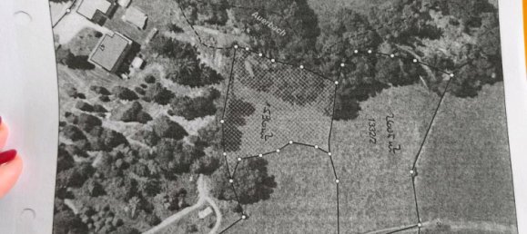 Terreno en Regen, Germany No. 227454 2