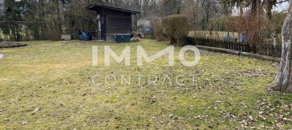  Land in Wallern an der Trattnach, Austria No. 166290 6