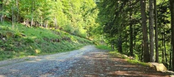 2 bedrooms House in Campertogno, Italy No. 132242 38