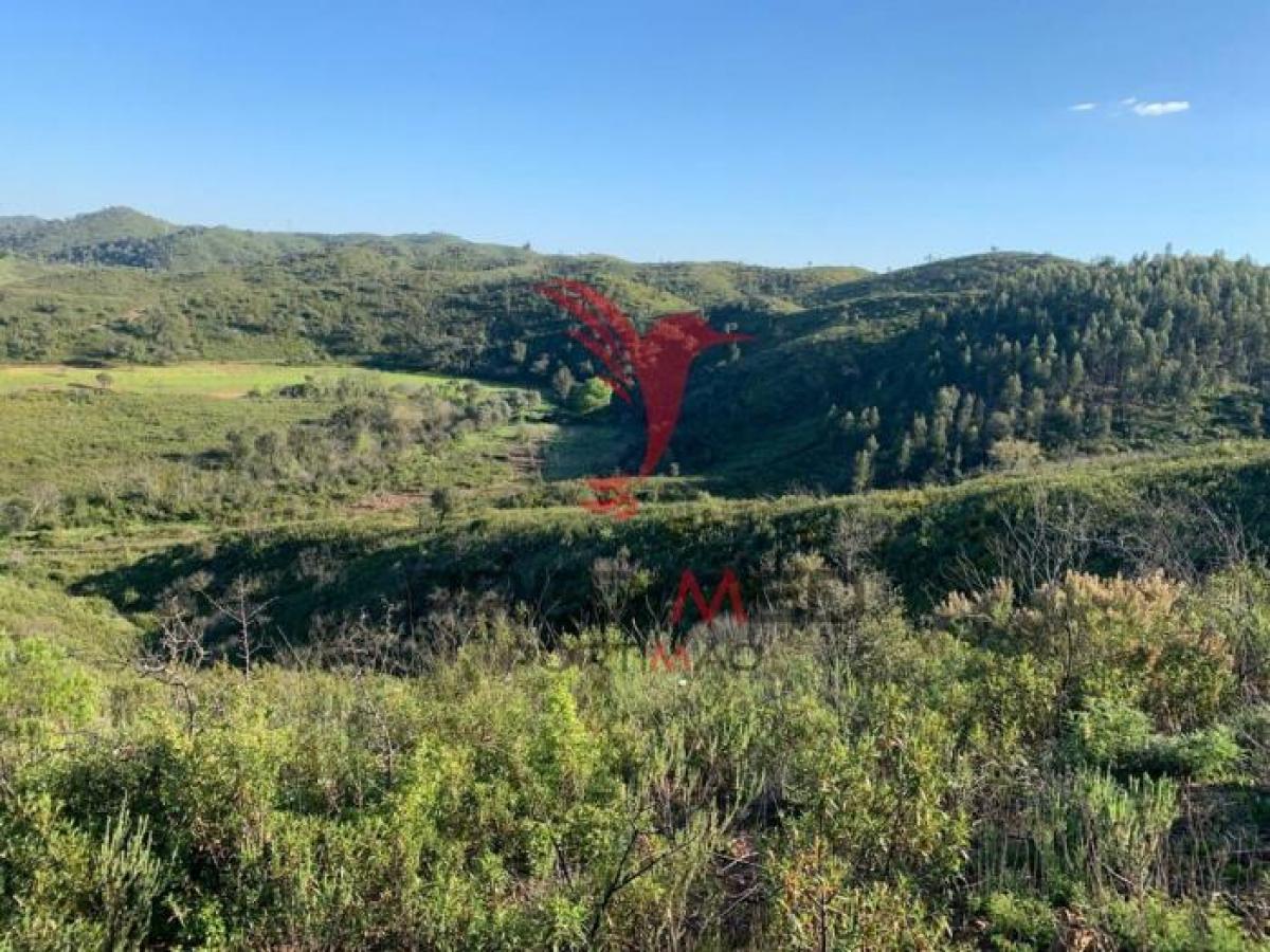 Terreno em Silves, Portugal 99 m² N.º 8904