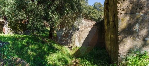 4 chambres Villa à Marmelete, Portugal No. 106350 7