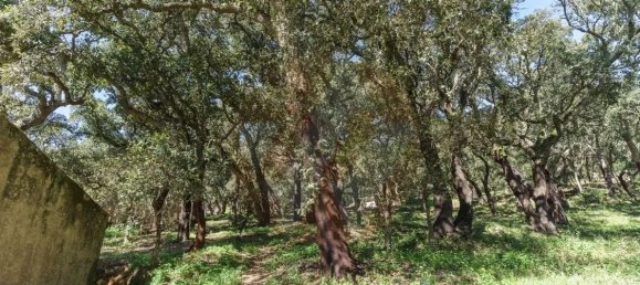 4 chambres Villa à Marmelete, Portugal No. 106350 4