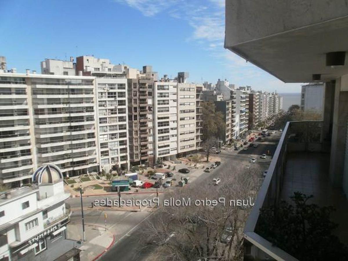 3 bedrooms Apartment in Montevideo, Uruguay No. 4709
