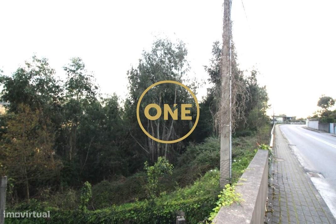 4000m² Land in Ruilhe, Portugal No. 24702