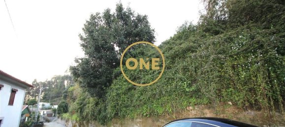 4000m² Land in Ruilhe, Portugal No. 24702 8