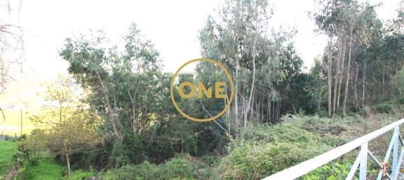 4000m² Land in Ruilhe, Portugal No. 24702 5