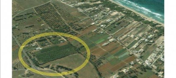14000m² Land in Sannicola, Italy No. 153326 8