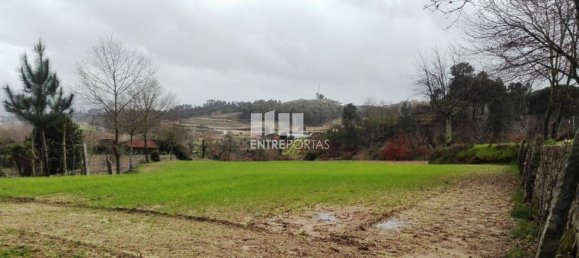 Grundstück in Penafiel, Portugal 5200m², Nr. 55020 7