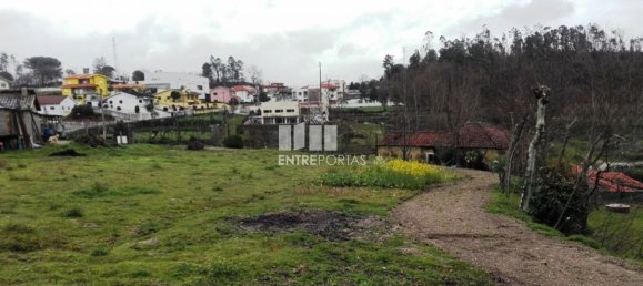 Grundstück in Penafiel, Portugal 5200m², Nr. 55020 19