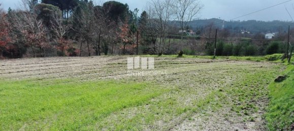 Grundstück in Penafiel, Portugal 5200m², Nr. 55020 8