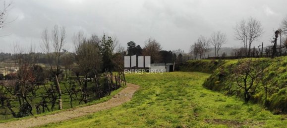 Grundstück in Penafiel, Portugal 5200m², Nr. 55020 6