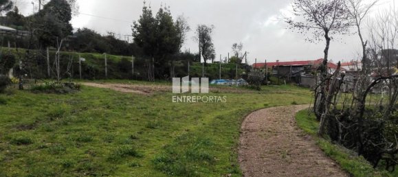 Grundstück in Penafiel, Portugal 5200m², Nr. 55020 18