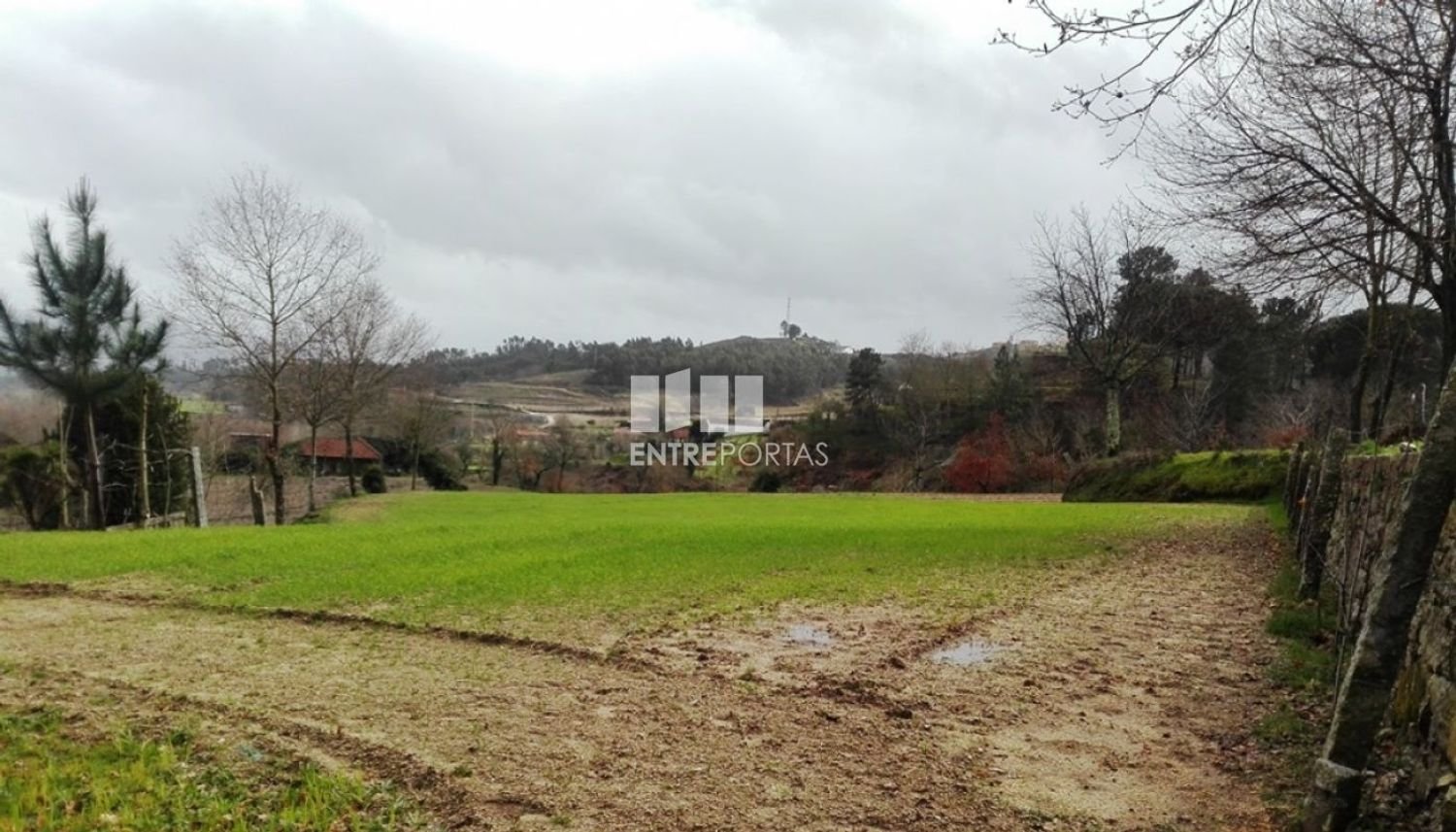 Grundstück in Penafiel, Portugal 5200m², Nr. 55020