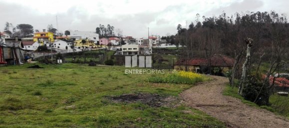 Grundstück in Penafiel, Portugal 5200m², Nr. 55020 21