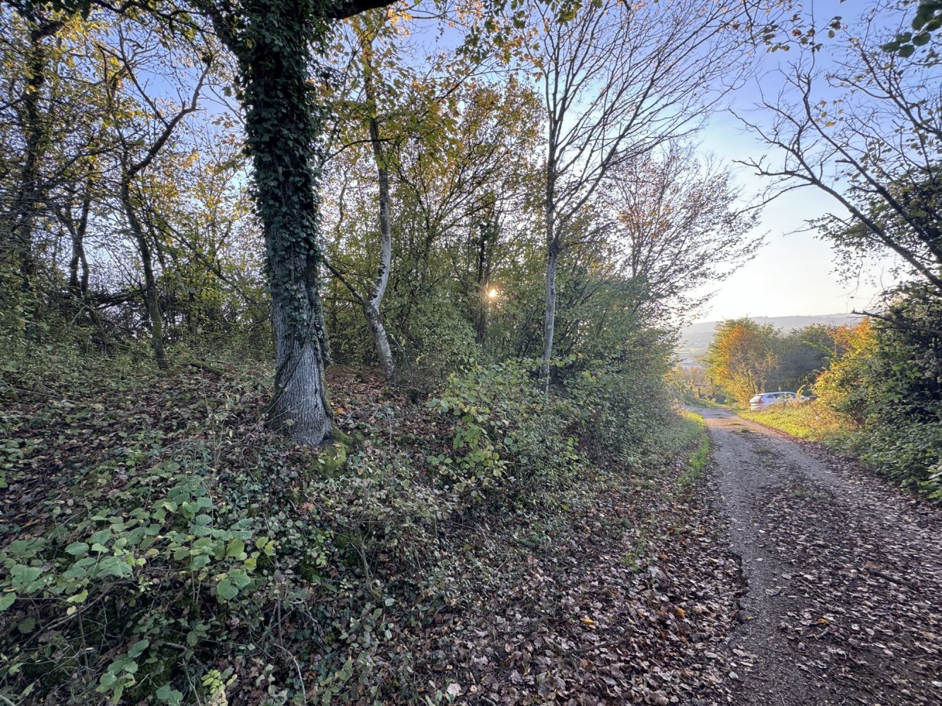  Land in Chateau-Salins, France No. 214627