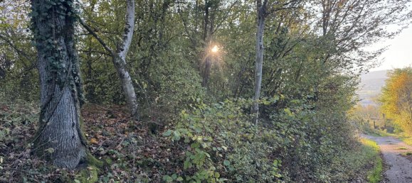  Land in Chateau-Salins, France No. 214627 5