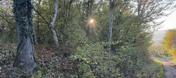  Land in Chateau-Salins, France No. 214627 3