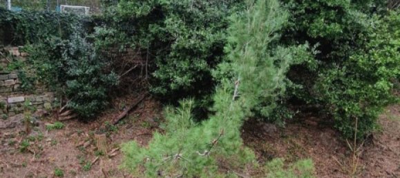 4-Zimmer Wohnung in Genoa, Italy, Nr. 197160 28