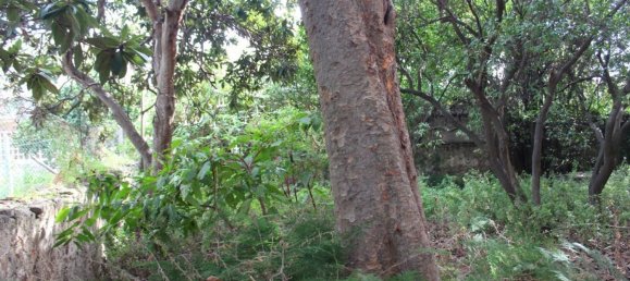 18غرفة فيلا في Lipari, Italy رقم 131210 8