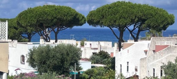 4-salle Maison à Santa Marinella, Italy No. 294532 44