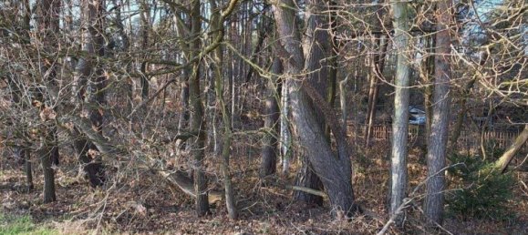Grundstück in Lüchow-Dannenberg, Germany, Nr. 362716 2