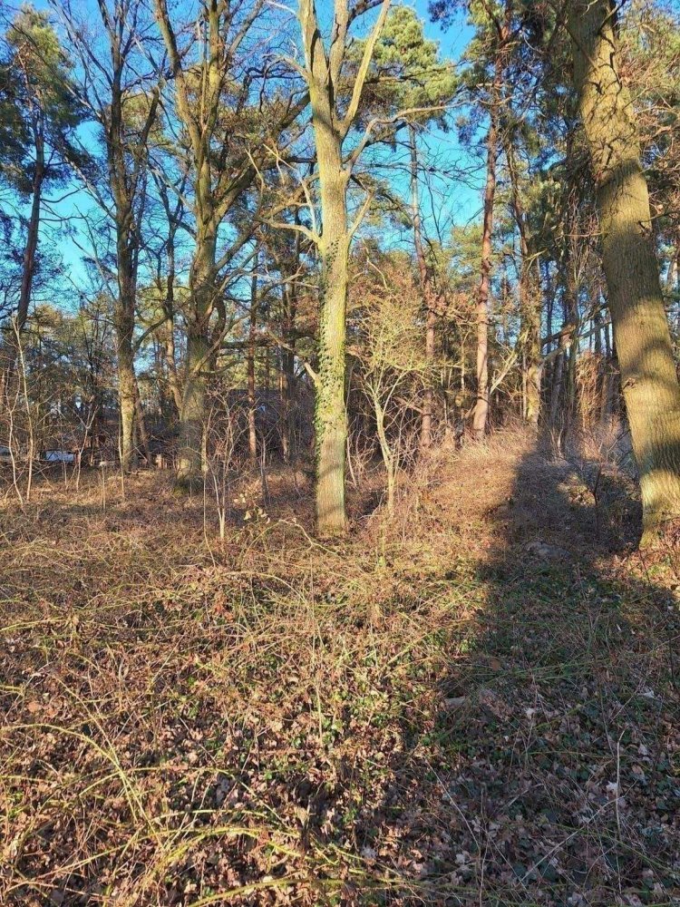 Grundstück in Lüchow-Dannenberg, Germany, Nr. 362716