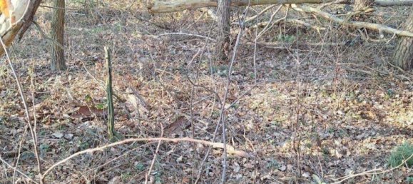 Grundstück in Lüchow-Dannenberg, Germany, Nr. 362716 3