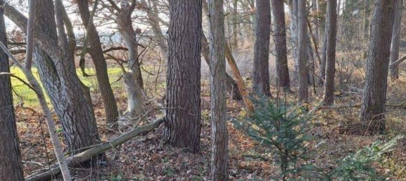 Grundstück in Lüchow-Dannenberg, Germany, Nr. 362716 4