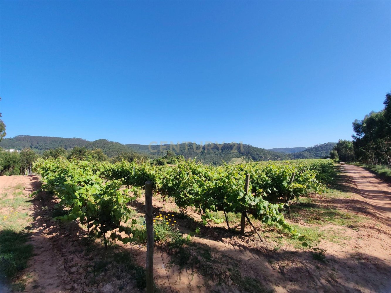  Land in Mafra, Portugal No. 293601