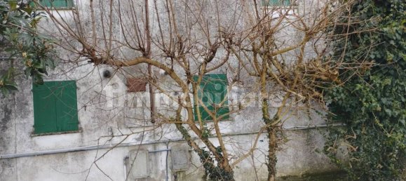 Villa de 5 dormitorios en Piacenza d'Adige, Italy No. 198932 23